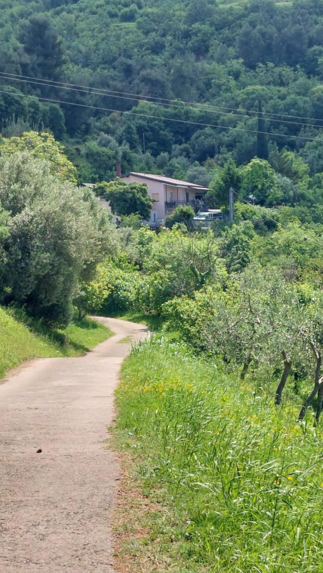 Apartma Lili Izola Εξωτερικό φωτογραφία
